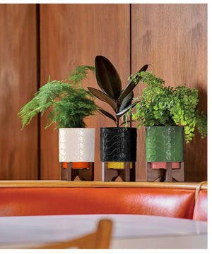 Orla Kiely Ceramic Plant Pot-Wooden-Cream