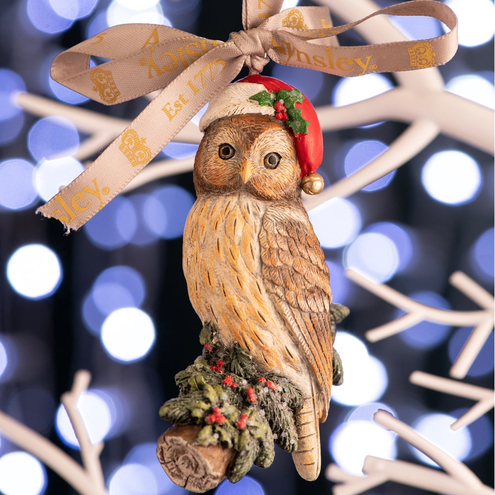 Aynsley Owl Hanging Decoration