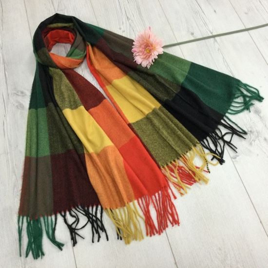 Reevo Accessories  Design Scarf -Green &Orange