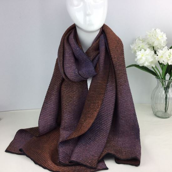 Reevo Accessories  Design Scarf -Purple & Brown