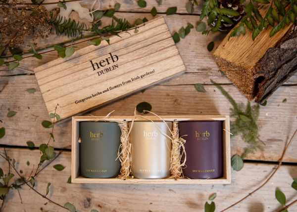 Herb Dublin Trio Candle Gift Set-Comfort &Joy, Mistletoe & Wine, Holly Jolly Christmas