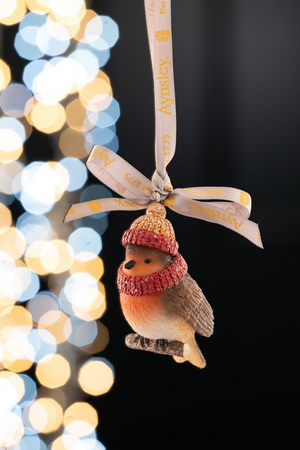 Aynsley Christmas Wooly Hat Robin  Hanging Ornament
