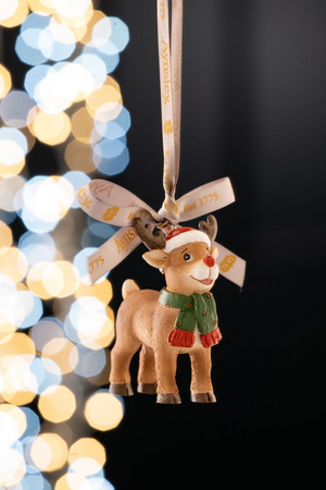Aynsley Christmas Rudolph the Reindeer Hanging Ornament
