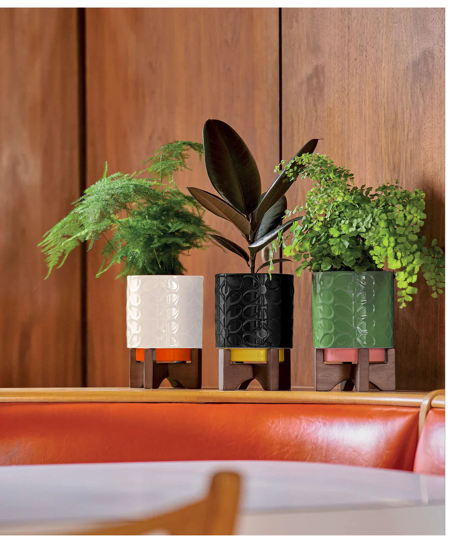 Orla Kiely Ceramic Plant Pot-Wooden-Black (Middle Image)