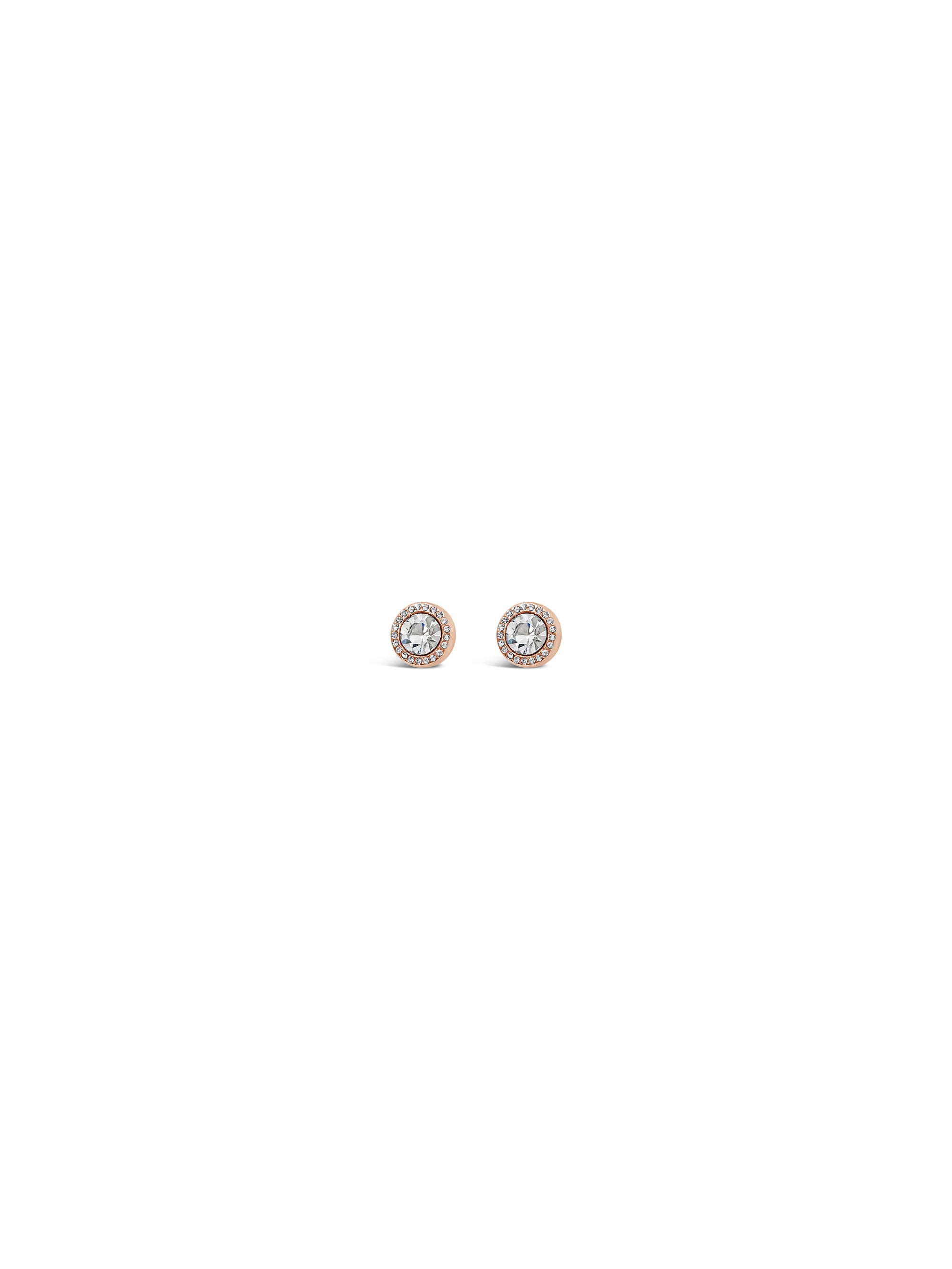 Absolute Jewellery Rose Gold Clip On Earring