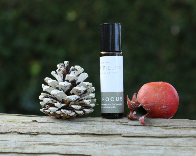 Esker Fields Clear Focus Rollerball