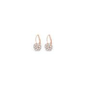 Absolute Jewellery Earring Rose Gold